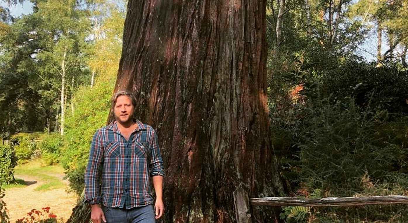 Dia Menanam Sequoia Raksasa di Inggris untuk Mengimbangi Jejak Karbonnya untuk Kehidupan – Dan 700 Lebih untuk Membuat Hutan