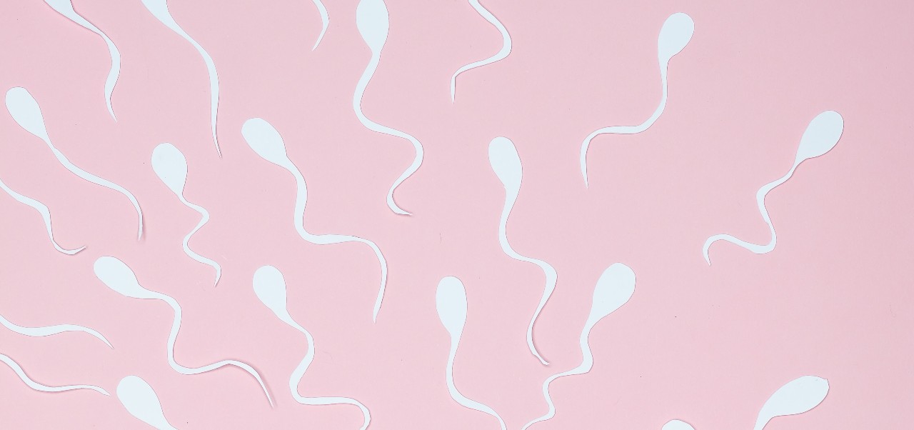 Menurunkan Berat Badan Meningkatkan Kesuburan Pria Saat Sperma Juga Menjadi Lebih Bugar, Kata Studi