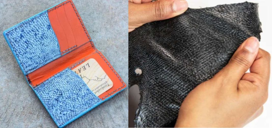 This Leather is Made From the Hide of an Invasive Predatory Fish