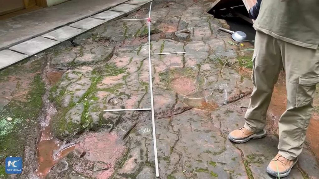 100 Million-Yr-Previous Footprints of Big Dinosaur Discovered at Restaurant in China