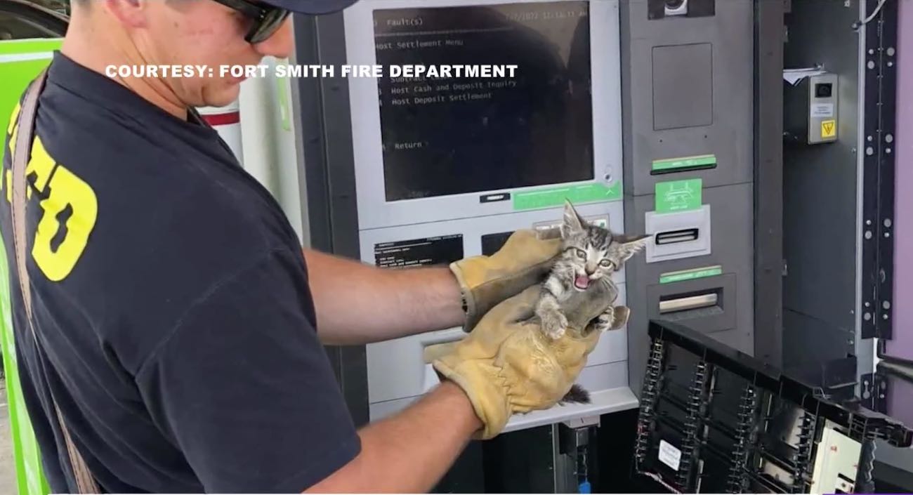 Petugas Pemadam Kebakaran Menyelamatkan Anak Kucing yang Terjebak di ATM – Dan Nama Barunya Uang Tunai
