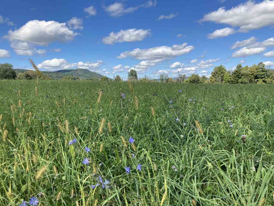 Bangsa Onondaga Rayakan Pengembalian Tanah Substansial Pertama dengan 1.000 Hektar Lembah Tully New York yang Dimenangkan dalam Penyelesaian Hukum