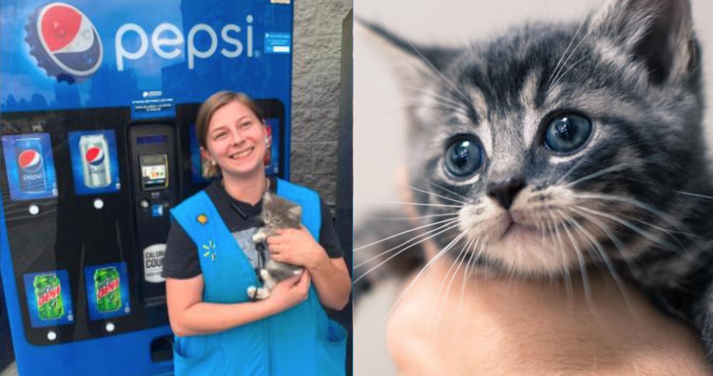 Karyawan dan Petugas Pemadam Kebakaran Datang untuk Menyelamatkan Anak Kucing yang Terjebak di Mesin Pepsi Walmart