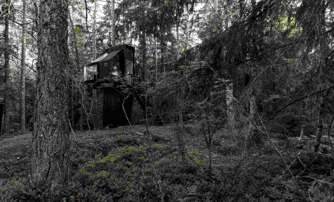 Rumah Pohon Mirip UFO Muncul di Hutan Finlandia