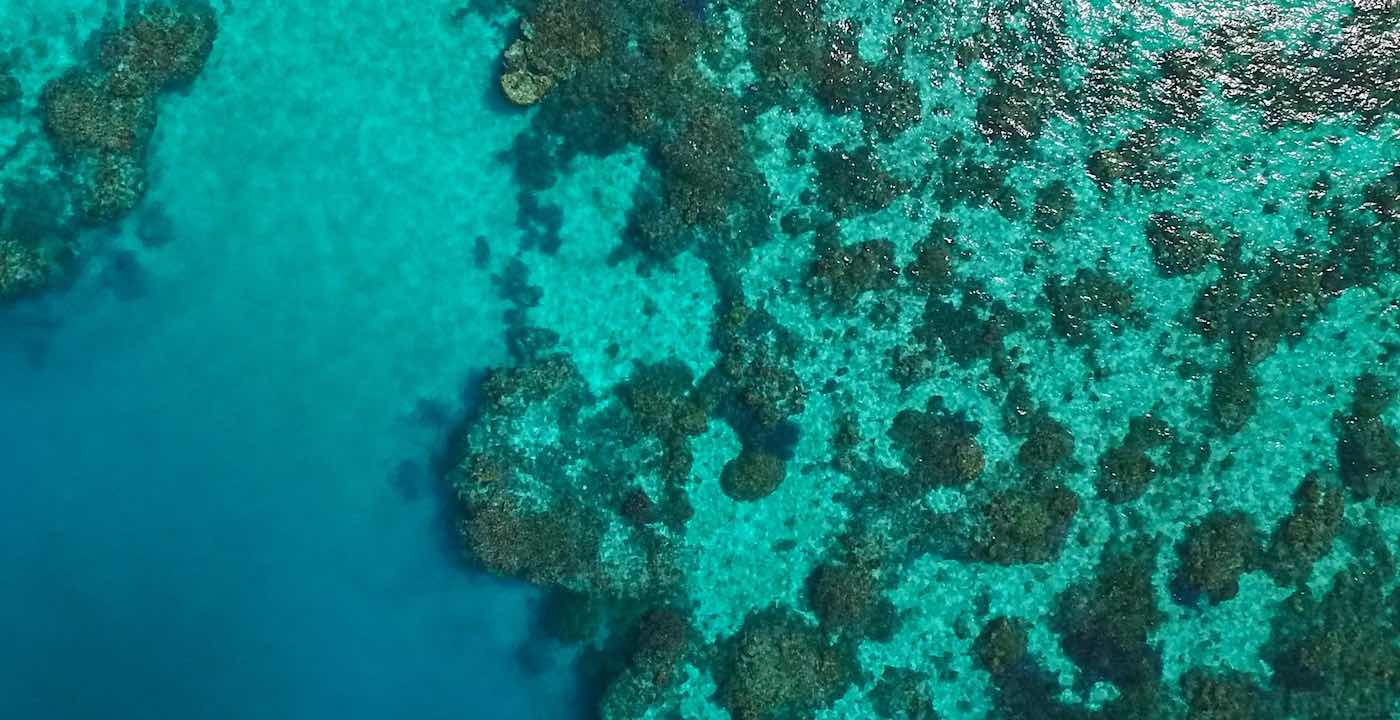 Bagian dari Great Barrier Reef Menunjukkan Tutupan Karang Tertinggi dalam 36 Tahun