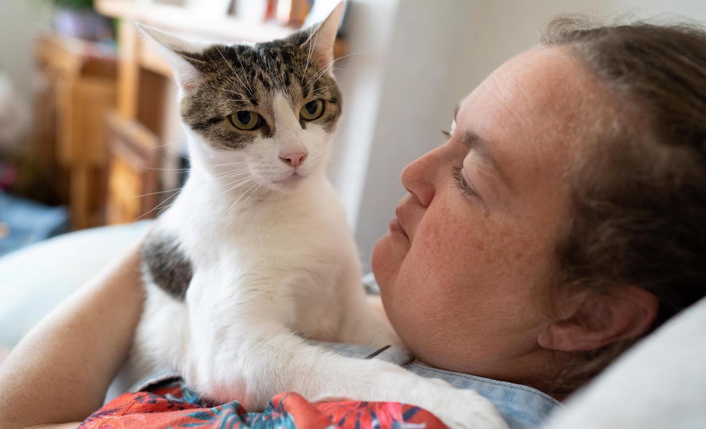 Hero Cat Menyelamatkan Pemilik yang Mengalami Serangan Jantung dengan Menabrak Dadanya dengan Cakarnya