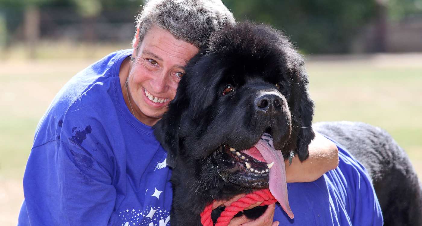 Anjing Penyelamat Saya Menyelamatkan Saya Dengan Mengendus Kanker Saya