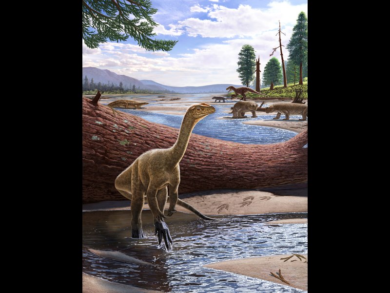 Ilmuwan Menggali Dinosaurus Tertua di Afrika, Mengisi Celah Penting dalam Catatan Fosil