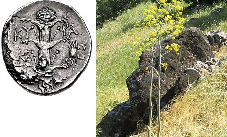 Esta “planta milagrosa” romana perdida puede haber sido redescubierta