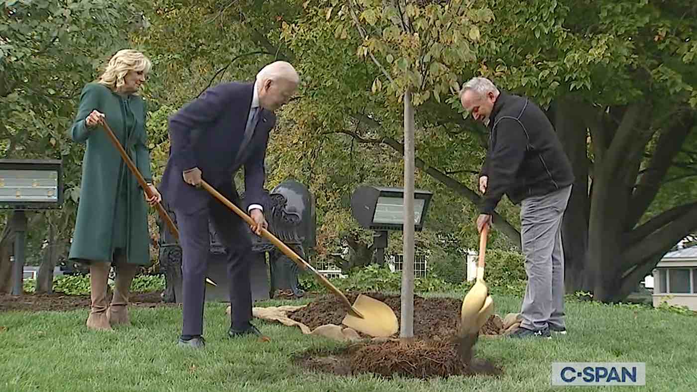 Penjaga Lapangan Gedung Putih 50 Tahun Terkejut Dengan Pohon Elm yang Ditanam Untuk Menghormatinya Selama 200 Tahun