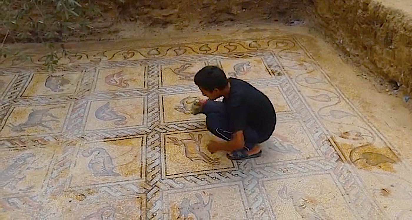 Mosaik Indah Digali oleh Petani Menanam Pohon Zaitun, ‘Terpelihara Sempurna’ Dari Era Bizantium
