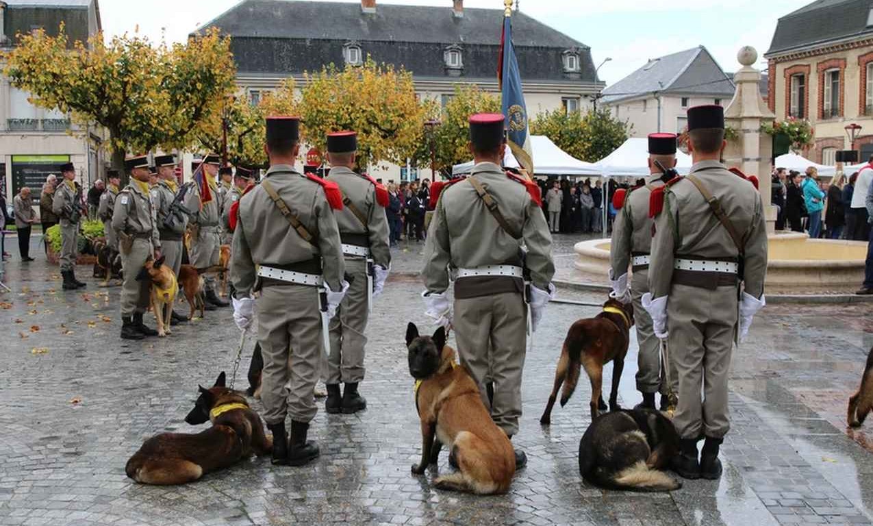 Semua Anjing Pahlawan Sejarah Militer Prancis Dihormati dengan Upacara dan Peringatan