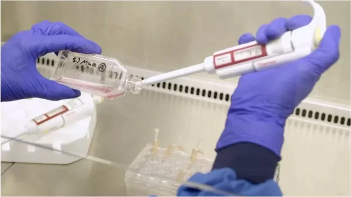 NHSBH lab-grown blood - released.