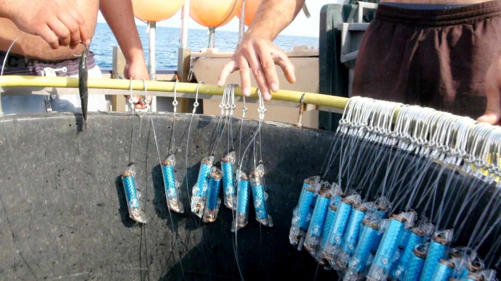 New devices use an electric field to scare sharks from fishing hooks