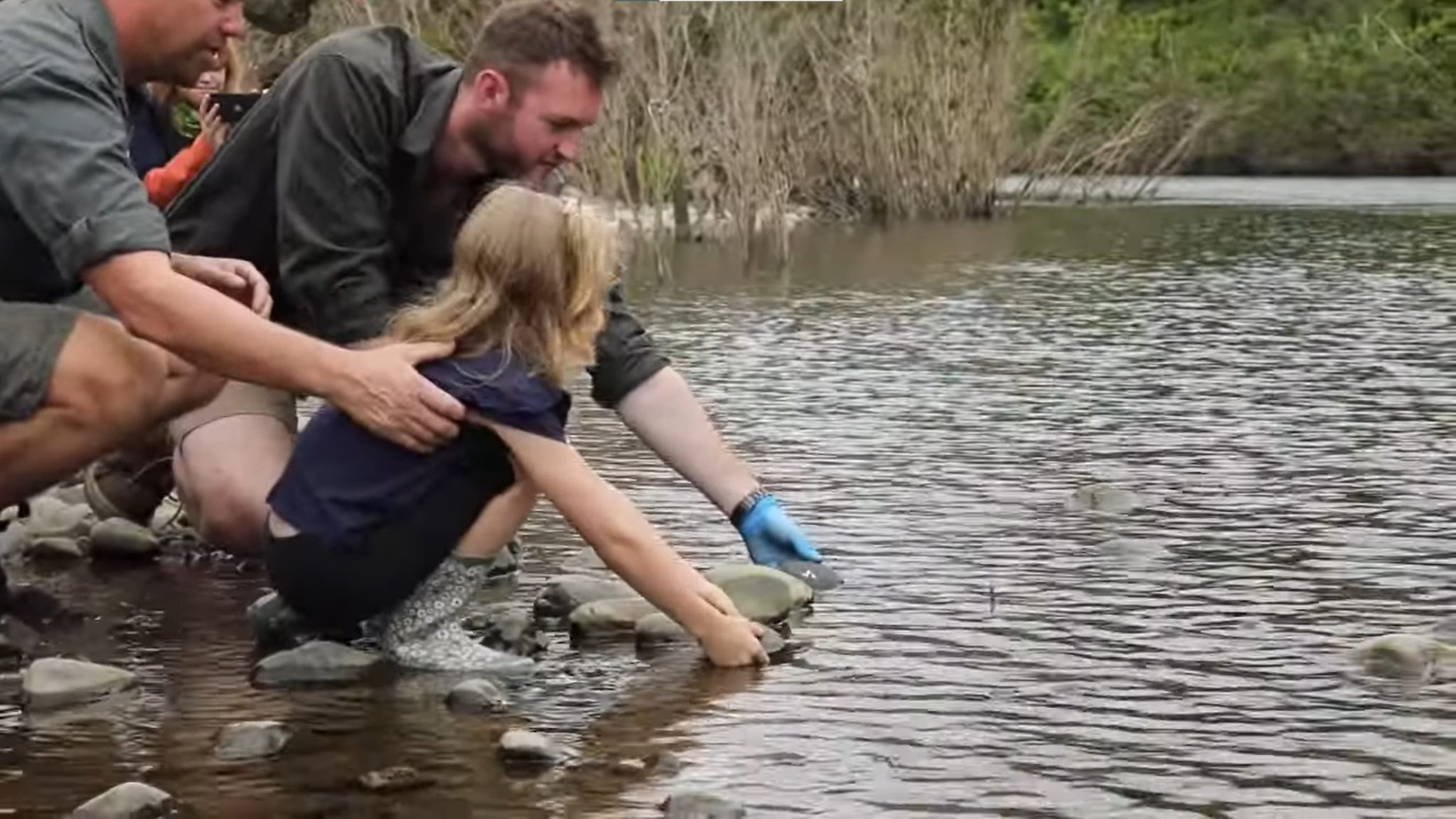 Kura-kura Sungai Manning yang Terancam Punah Dilepaskan ke Alam Liar Setelah Penyelamatan Telur Selama ‘Black Summer’