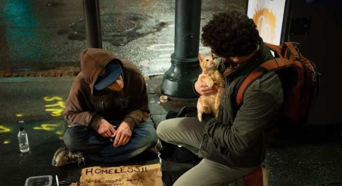 homeless compassion stray cat-help kindness-pubdomain Zac Durant