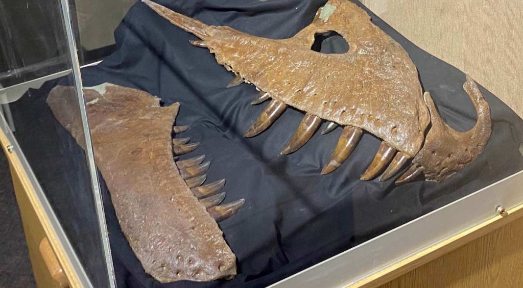 Frightful' never-before-seen tyrannosaur might be the 'missing