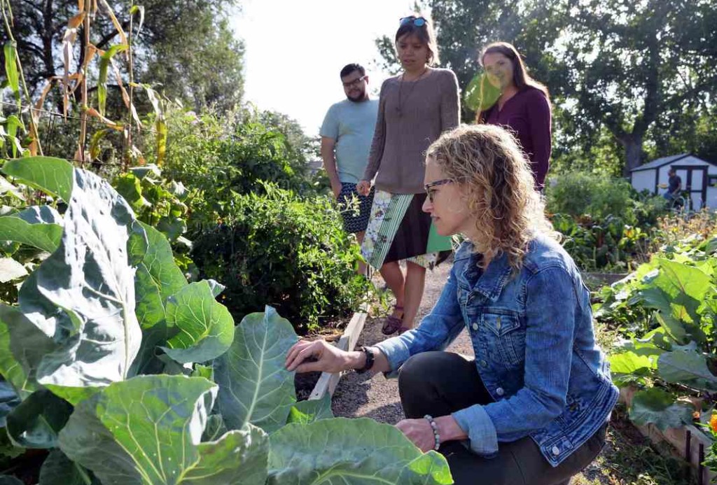 Gardening Could Help Reduce Cancer Risk, Boost Mental Health and Bring Communities Together