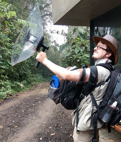 South American Songbird Hailed as Most Expert Musician of the Animal  Kingdom (LISTEN)