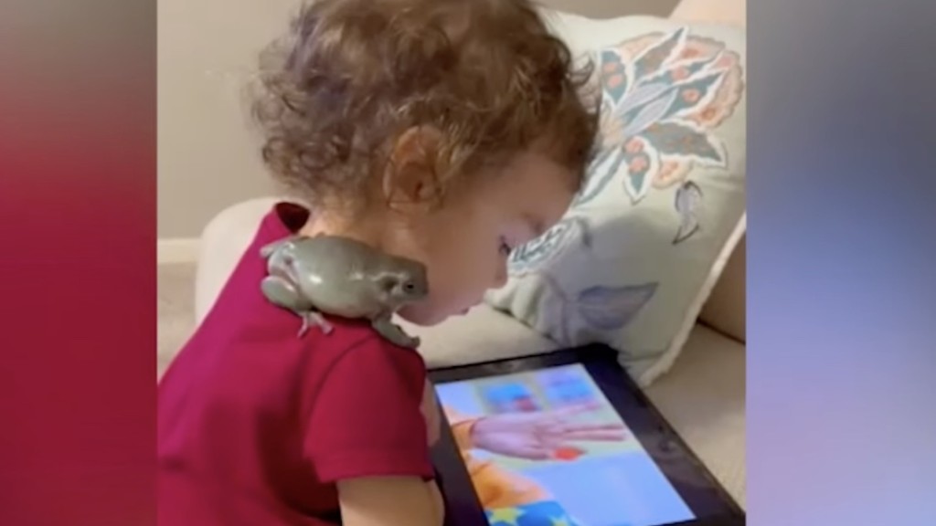 Toddler is Best Friends With a Frog: They Eat Together, Watch TV, and Go on  Walks–LOOK