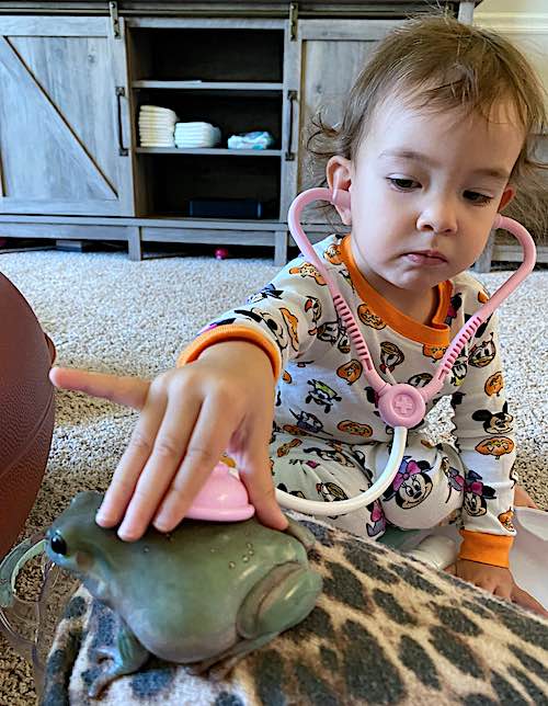 Toddler is Best Friends With a Frog: They Eat Together, Watch TV, and Go on  Walks–LOOK