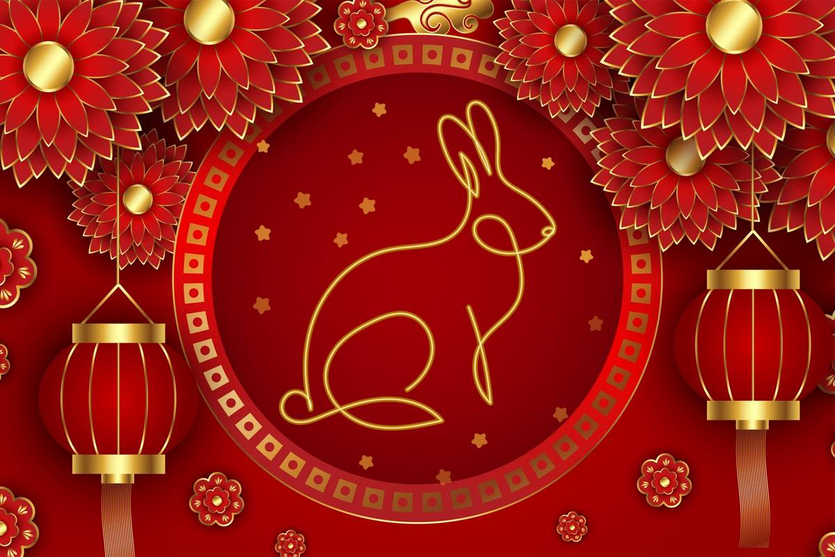 The Year of the Rabbit Hops into 2023 – What it Means and How to Tell if  You Were Born Under its Sign