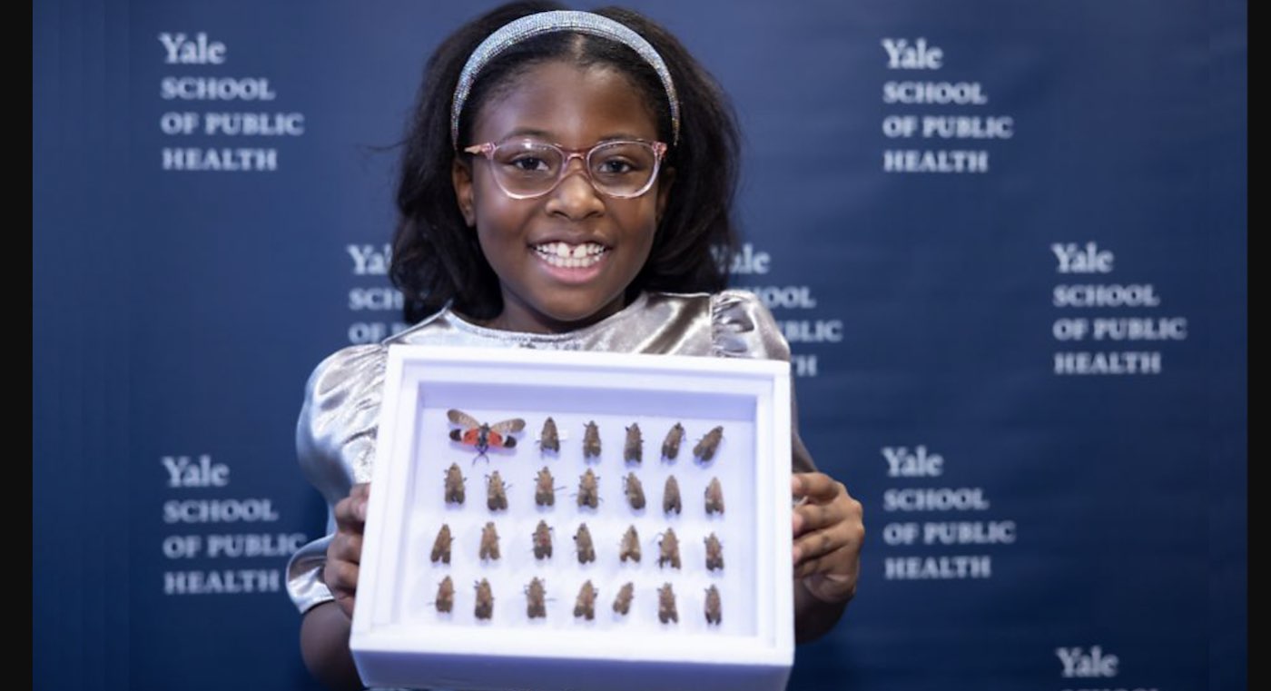Yale Menghormati Karya Gadis Berusia 9 Tahun yang Menginjak Lampion yang Sangat Invasif di New Jersey