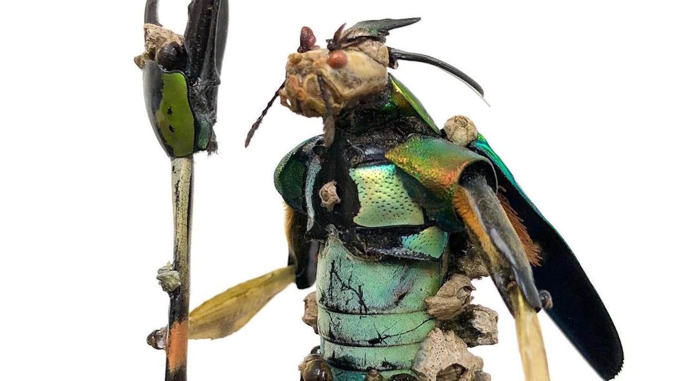 Seniman Membuat Patung Fantasi Dengan Menggunakan Serangga Mati