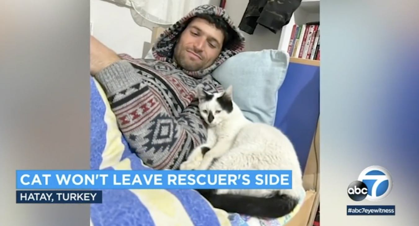 Petugas Pemadam Kebakaran Turki Menyelamatkan Kucing Dari Reruntuhan dan Menolak untuk Meninggalkan Sisinya