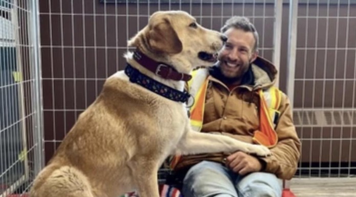 dog rescued fr afghanistan-released by Lori Kalef -SPCA International