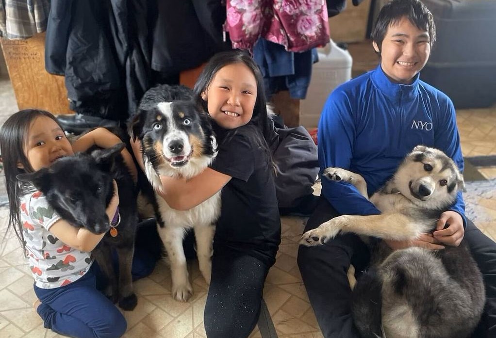 Seekor Anjing Hilang Berjalan 150 Mil Melintasi Es Laut Alaska Sebelum Dia Bersatu Kembali dengan Keluarganya