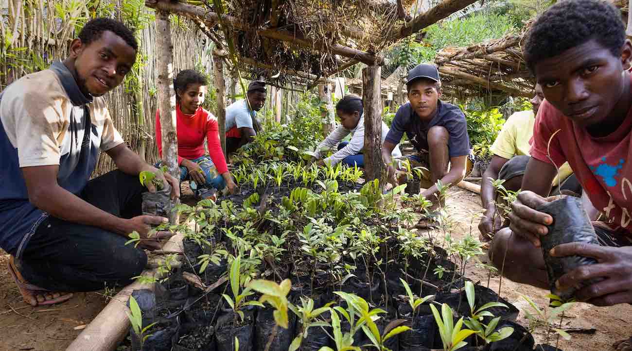 Tree Growing Nonprofit adalah Menumbuhkan Pengusaha Dengan Pelatihan Unik dan Banyak Pohon untuk Madagaskar