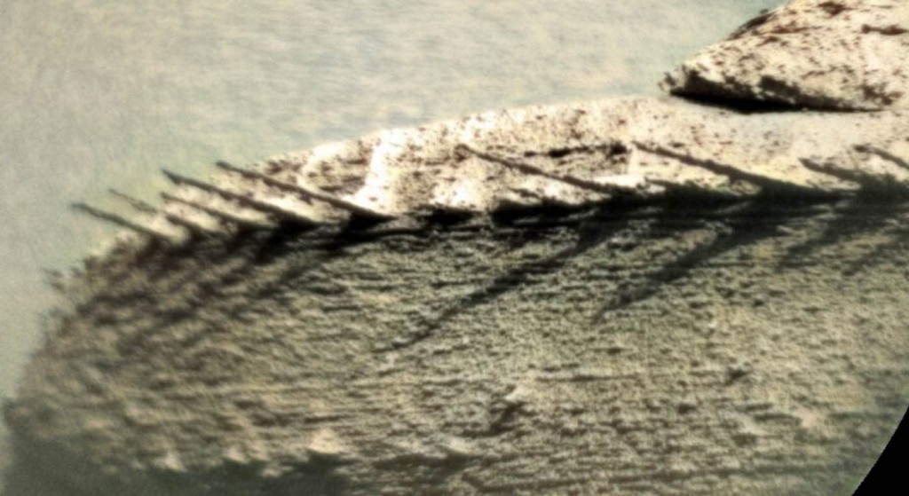 La cámara del rover de Marte detecta extrañas estructuras parecidas a huesos