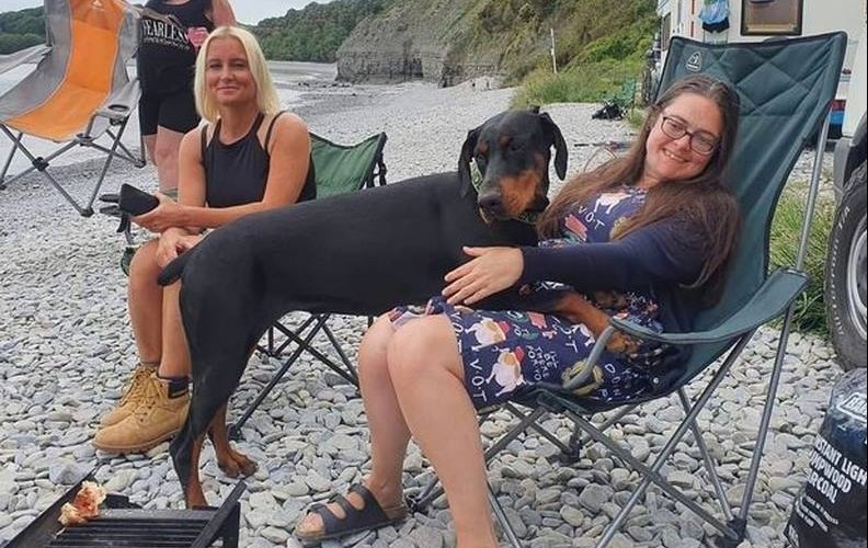 Nyawa Wanita Terselamatkan Setelah Anjingnya Menemukan Donor Ginjal di Pantai: Peluang Satu dari 22 Juta