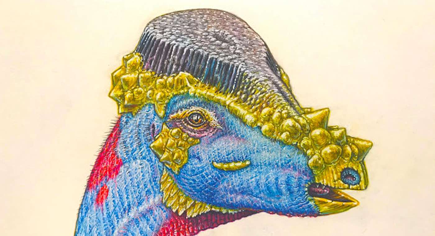 Dinosaurus Baru Dengan Deretan Bulu Di Kepala Seperti Sikat Gigi Telah Ditemukan