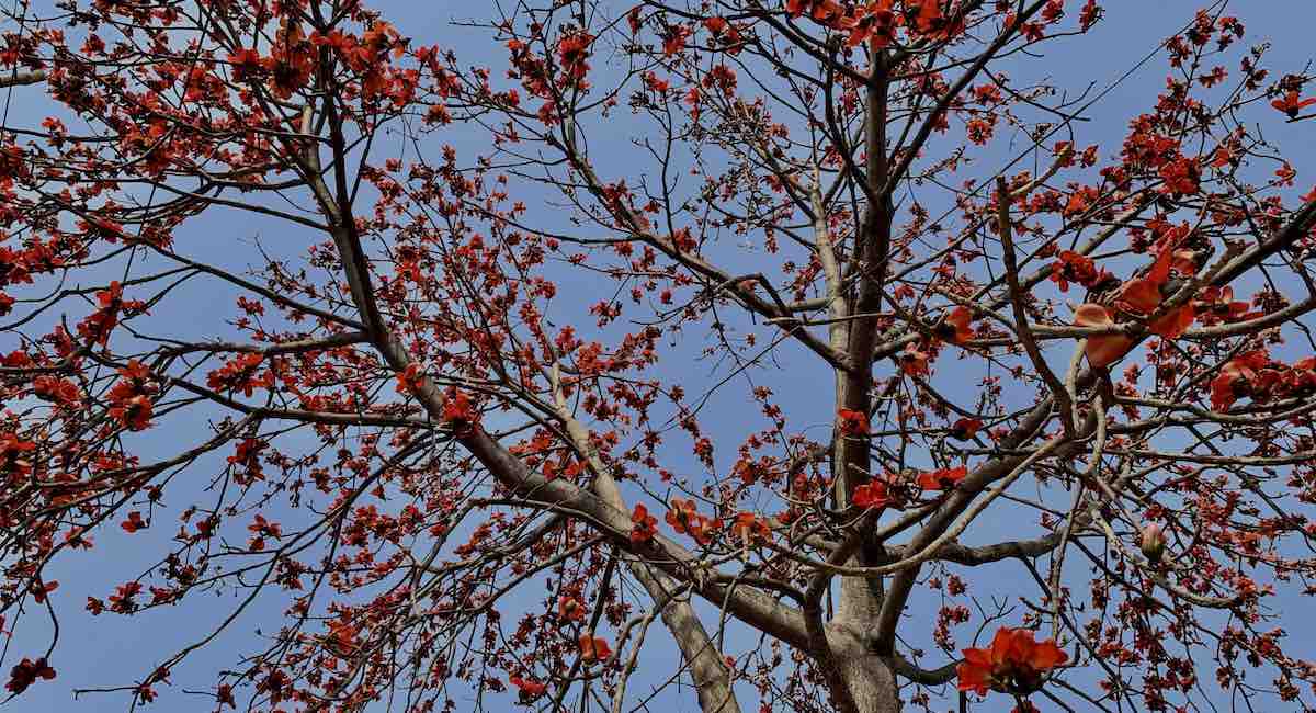 “Life without love is like a tree without blossoms or fruit.” Khalil