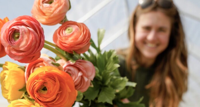 summer flowers giving friends cheering up-pubdomain Zoe Schaeffer