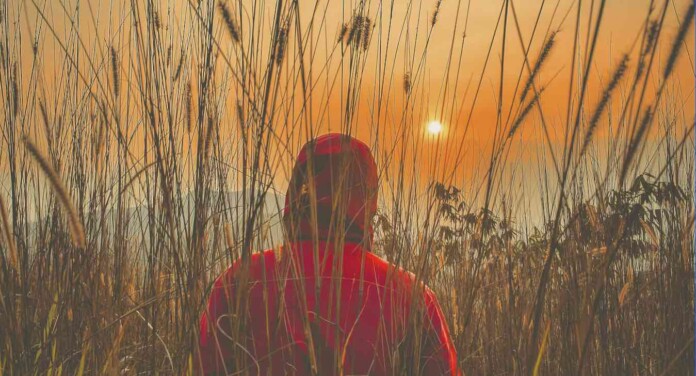 alone in nature-colorized-pubdomain Ayom Rohmansyah