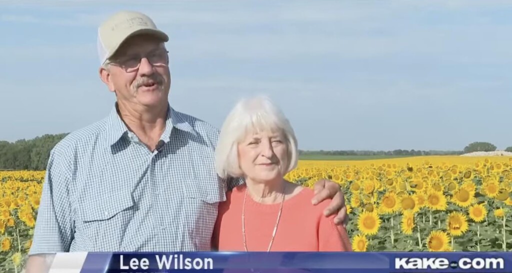 Kansas Farmer Plants 1.2 Million Sunflowers for His Wife–A ‘Perfect’ 50th Anniversary Gift (Video)