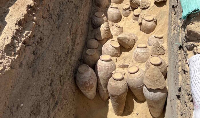 Sealed jars of wine from 5,000 years ago have been uncovered in an Egyptian Queen's tomb