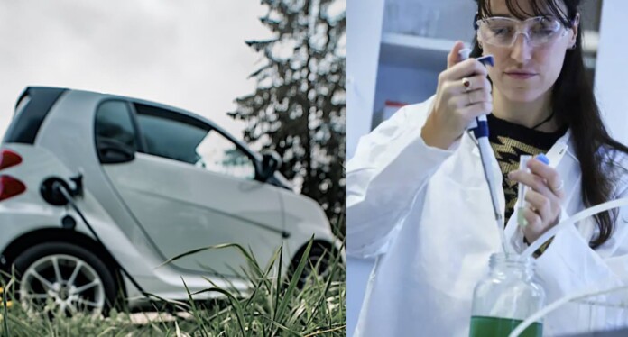 Léa Rouquette by Henrik Sandsjö