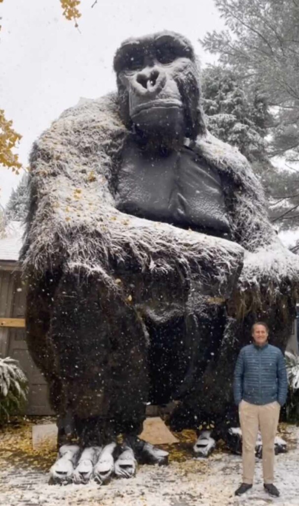 Man builds massive King Kong display in yard for Halloween - Good Morning  America