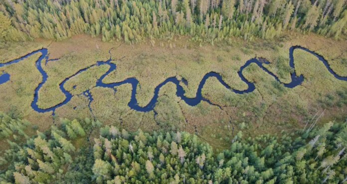 meandering stream river water nature forest Bloomingdale New York pubdomain Tom Dils
