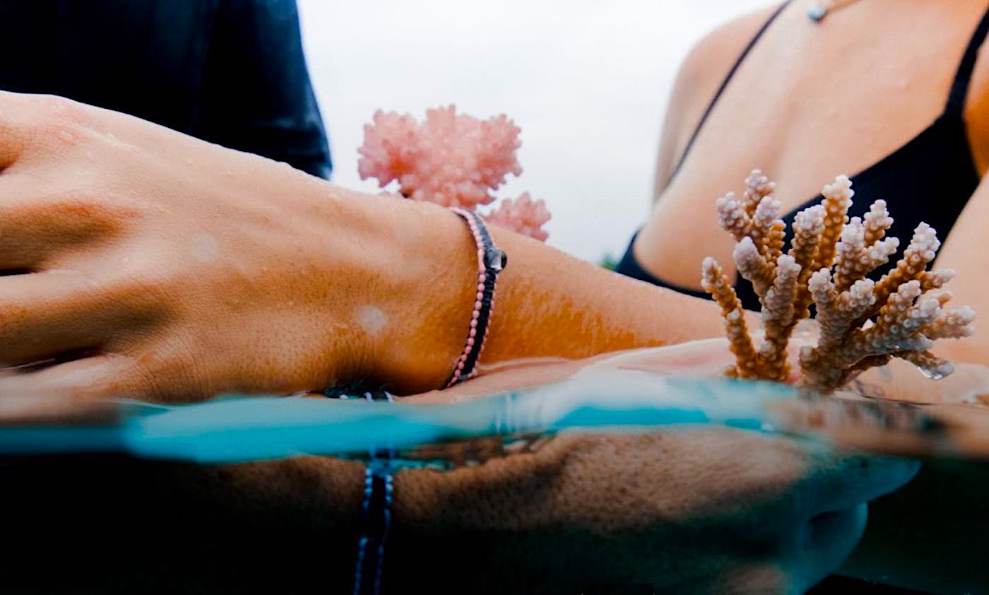 4ocean bracelets with baby coral released