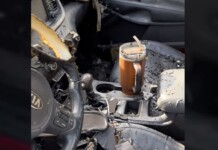 A Stanley Thermos Survives a Car Fire, so Stanley Replaces Both the Mug and the Car