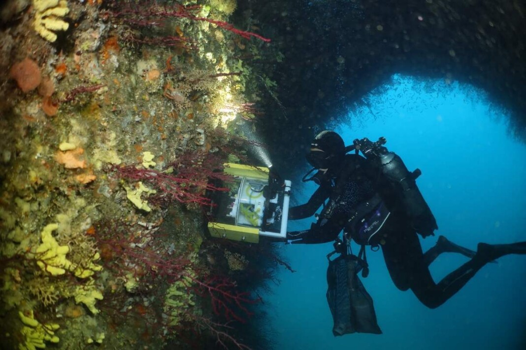 Modern Devic's New Medicines May Lie Under the Sea–This Device Sniffs Them Out