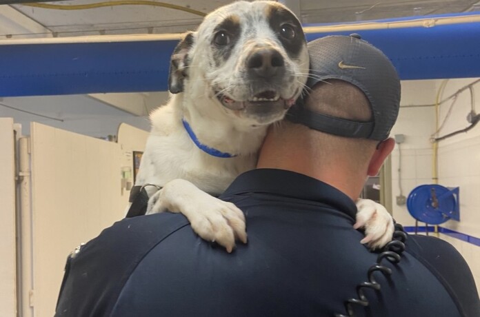 Best Friends Animal Center - Facebook