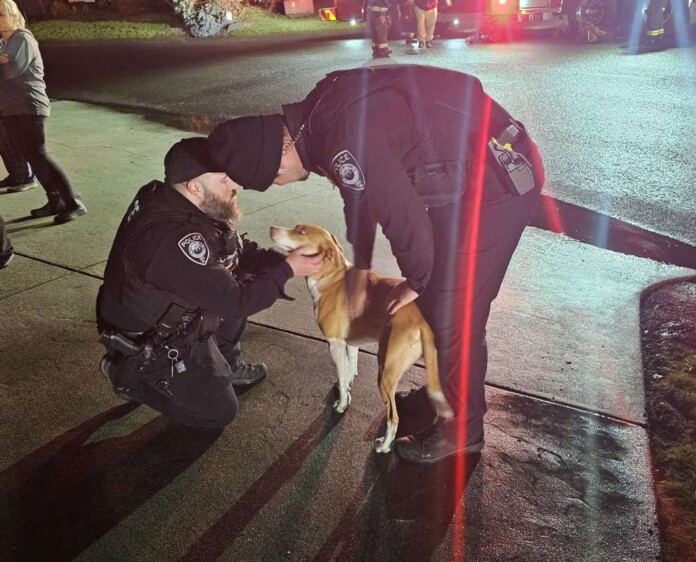 credit - Arlington, WA Police Department, released.