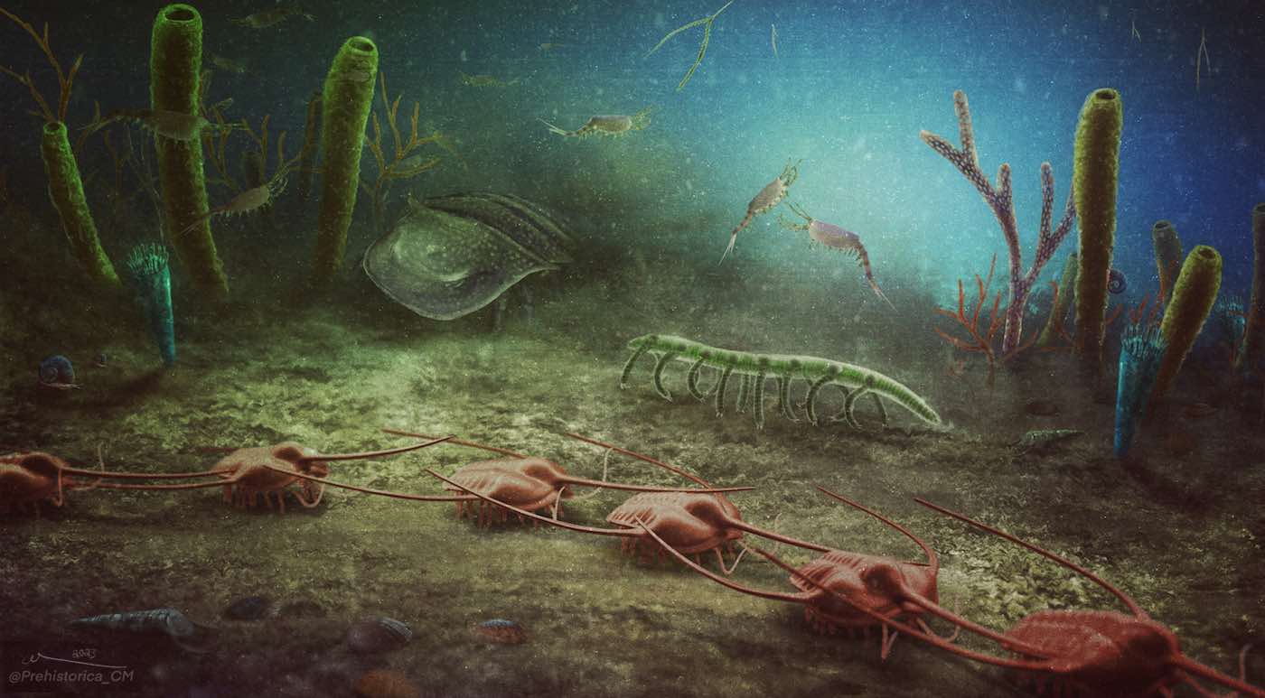 Amateur paleontologists discover site of epic significance – 400 fossils dating from 470 million years ago amid global warming
