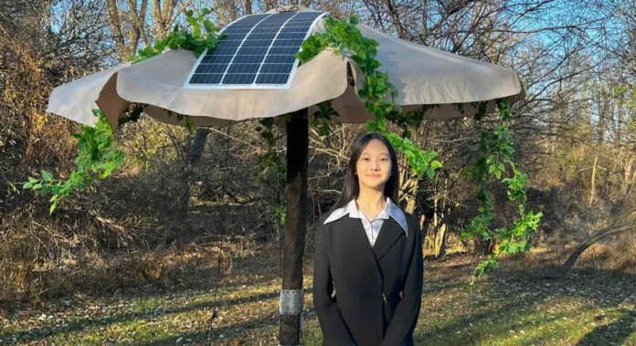 ArTreeficial solar-powered AI-driven bug zapper uses electronic mesh against spotted lanternfly in NJ-Courtesy of Selina Zhang